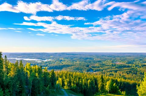 Kesäinen päivä on kauneimmillaan suomalaisessa järvi- ja metsämaisemassa. Kuva: Mostphotos.